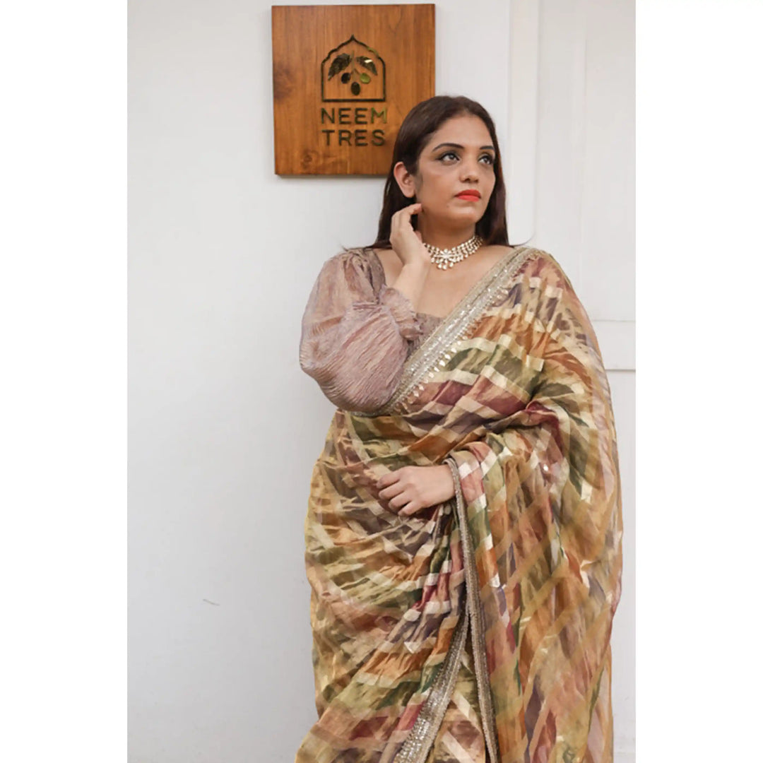 Hearthlight-Tissue-Saree-with-Earthy-Lehariya-Pattern and-Hand-Embroidered-Border