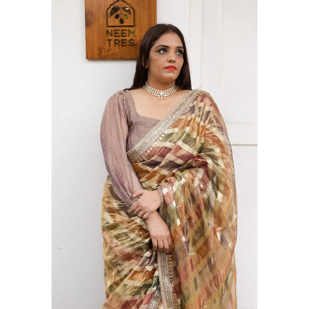 Hearthlight-Tissue-Saree-with-Earthy-Lehariya-Pattern and-Hand-Embroidered-Border