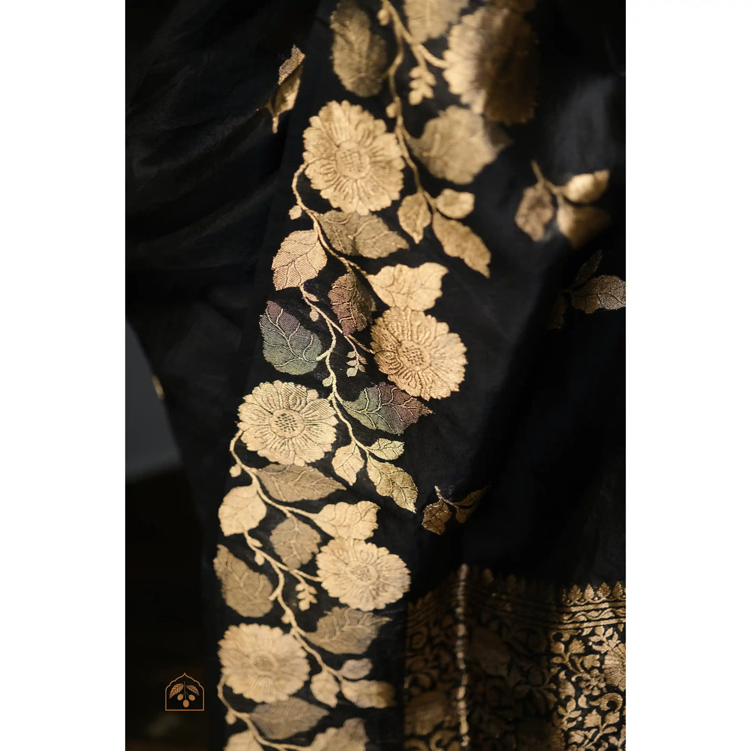 Siyahi-Banarasi-Organza-Saree